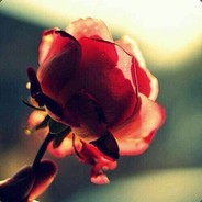 七七七七七七七