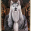 Albus Dumbledog