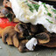 Poached Egg and Shrooms