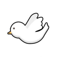 不会飞的鸽子