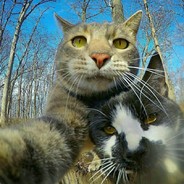 青衫执伞怡红尘