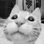 屎都还没拉完:-)