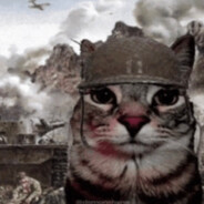 WHISKER - steam id 76561199029168709