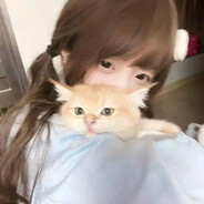 内向的人无外设