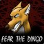 Cynical Dingo