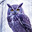 Tommy_Owl_Cat-nya