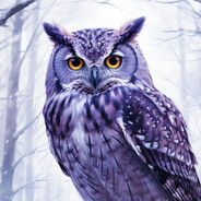 Tommy_Owl_Cat-nya