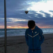 mefxciuuuu.skins.army