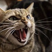 温柔帅气的小哥哥