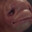 Shmeat