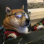 Smart Shibe