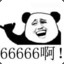 只会喊666的咸鱼