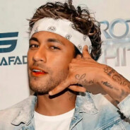 我是爱莉希雅的狗