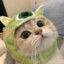 爱吃红烧小黄鱼