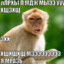 хавиер_фддс