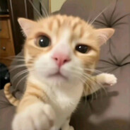 WWWWWWWWWWWWWW avatar