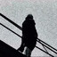 пупукака's avatar