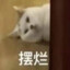 我是璃月七星电弧星