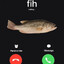 FIH