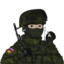 Луковая шкварка
