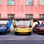 孤独风中一匹狼