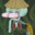Gamige