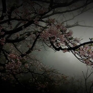 pro51pau5' r4n0 - steam id 76561199251727610