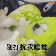 网课一坤年的医学生