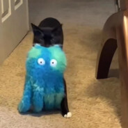 厨房着火我刷碗