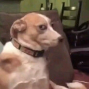 尊贵的小霸王机主