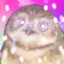 LiteOwl