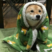 ᠴᠢᠩᠭᠢᠰ ᠬᠠᠭᠠᠨ