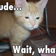 Cartz - steam id 76561197960867416