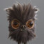 drag0nfl13r