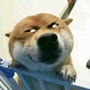 兔子是个修理师