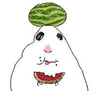 XARCHOK - steam id 76561199230936588