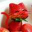 strawberryMonster