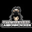 CarbonMcnoxide