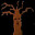Racist Tree