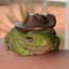 Cowboy Froggo