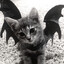 meow's avatar