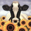 DanDanSunflowerCow