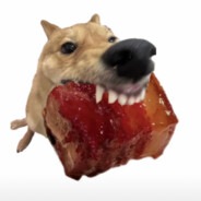 狗咬红烧肉
