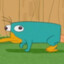 Perry The Platypus