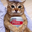 Piwo Tesco