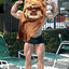 Damighty omgwtfbbqgrilled Ewok