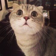 大保健三好学生