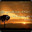 Eloc_K_TV