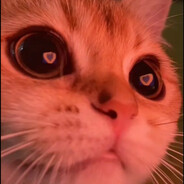 мяу