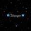 CillePigen